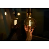 Shelly Vintage G125, Lampada a LED 