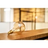 Shelly Vintage G125, Lampada a LED 