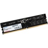 ADATA DIMM 8 GB DDR5-5600, Memoria Nero