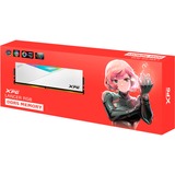 ADATA LANCER RGB memoria 16 GB 1 x 16 GB DDR5 288-pin DIMM bianco, 16 GB, 1 x 16 GB, DDR5, 7200 MHz, 288-pin DIMM