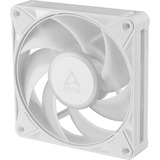 ARCTIC BioniX P12 A-RGB, Ventola bianco/Bianco