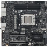 ASUS PRO WS B850M-ACE SE, Scheda madre 