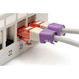 Digitus A-CC-VI, Copertura viola