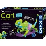 KOSMOS 621391, Casella di esperimento 