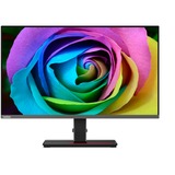 Lenovo Creator Extreme(F20270UP0), Monitor LED Nero