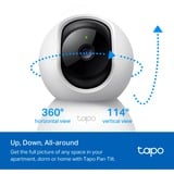 TP-Link TC71, Telecamera di sorveglianza bianco/Nero