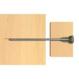 fischer Vite di regolazione FAFS 5,0 x 100 TX25 