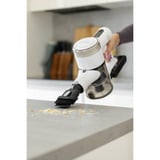 gorenje SVC222230AEW, Aspirapolvere verticale multi colorata