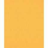 Bosch Expert C470 foglio abrasivo, 230 x 280mm, K220 