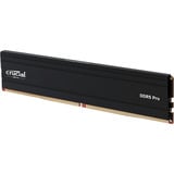 Crucial CP24G60C48U5, Memoria Nero