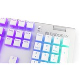 ENDORFY EY5D032 bianco