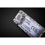 Intenso Top M.2 256 GB Serial ATA III, Disco a stato solido 256 GB, M.2, 520 MB/s, 6 Gbit/s