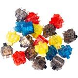Keychron G35, Interruttore a pulsante blu