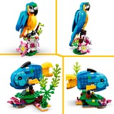 LEGO Creator Pappagallo esotico, Giochi di costruzione Set da costruzione, 7 anno/i, Plastica, 253 pz, 361 g