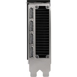 PNY VCNRTX6000ADA-PB, Scheda grafica 