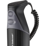 Unold M 200 BBQ, 98215, Frullatore a immersione Nero