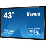 iiyama T4362AS-B1 Nero