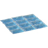 Campingaz 2000010674 borsa del ghiaccio, Elemento di raffreddamento blu, 195 mm, 240 mm, 18 mm