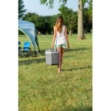 Campingaz Powerbox Plus borsa frigo 24 L Elettrico Grigio, Scatola cool grigio, Grigio, 24 L, Elettrico, 12 V, 407 mm, 313 mm