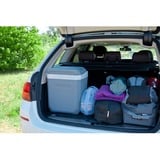 Campingaz Powerbox Plus borsa frigo 24 L Elettrico Grigio, Scatola cool grigio, Grigio, 24 L, Elettrico, 12 V, 407 mm, 313 mm