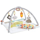 Fisher-Price Palestrina 5 Sensi Deluxe, Stimola Sviluppo del Neonato, da 0+ Mesi, GKD45, Gioco di scheda/coperta Stimola Sviluppo del Neonato, da 0+ Mesi, GKD45, Palestrina a tappeto per bambino, Bambino/Bambina, Arco giocattolo, Sonoro, Multicolore
