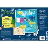 KOSMOS 63326 Giocattoli e kit di scienza per bambini Kit per esperimenti, Biologia, 8 anno/i, Multicolore