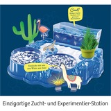 KOSMOS 63326 Giocattoli e kit di scienza per bambini, Casella di esperimento Kit per esperimenti, Biologia, 8 anno/i, Multicolore