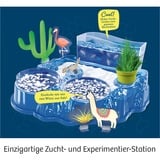 KOSMOS 63326 giocattolo e kit di scienza per bambini, Casella di esperimento Acquario, Biologia, 8 anno/i, Multicolore