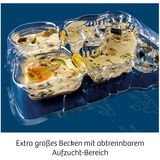 KOSMOS Kit per esperimenti Triops-Welt 633073 da 8 anni, Casella di esperimento 