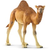 Schleich WILD LIFE Dromedario, Gioco figura 3 anno/i, Safari, Wild animals / adventure toys, Multicolore, Plastica, 1 pz