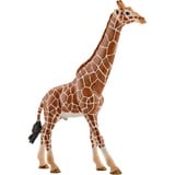 Schleich WILD LIFE Giraffa, maschio, Gioco figura maschio, 3 anno/i, Safari, Wild animals / adventure toys, Multicolore, Plastica