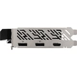 ASRock 90-GA5TZZ-00UANF, Scheda grafica 