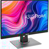 ASUS ProArt Display PA248QV Gen2 (PA248QFV), Monitor LED Nero/Argento
