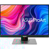 ASUS ProArt Display PA248QV Gen2 (PA248QFV), Monitor LED Nero/Argento