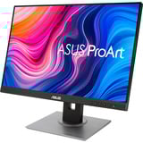 ASUS ProArt Display PA248QV Gen2 (PA248QFV), Monitor LED Nero/Argento