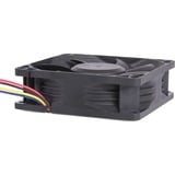 Alphacool 24829 sistema di raffreddamento per computer Universale Ventilatore 8 cm Nero 1 pz, Ventola Nero, Ventilatore, 8 cm, 1000 Giri/min, 6000 Giri/min, 50 dB, 130,83 m³/h