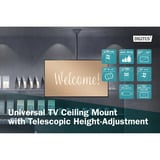 Digitus Supporto universale da soffitto per TV con regolazione telescopica dell'altezza Nero