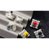 Keychron Gateron G Pro 3.0 Set di switch bianchi, Interruttore a pulsante bianco/trasparente