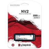 Kingston NV2 250 GB 