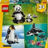 LEGO Creator 3 in 1 31165 Animali Selvatici: Famiglia di Panda Giocattolo, Si Trasforma in Pinguino e Orca, Idea Regalo 8+, Giochi di costruzione Si Trasforma in Pinguino e Orca, Idea Regalo 8+, Set da costruzione, 8 anno/i, Plastica, 626 pz, 814 g