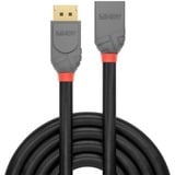 Lindy 36496 cavo DisplayPort 1 m Nero Nero, 1 m, DisplayPort, DisplayPort, Maschio, Femmina, 7680 x 4320 Pixel