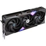 MSI V532-019R, Scheda grafica 