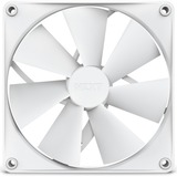 NZXT F140P Case per computer Ventilatore 14 cm Bianco 1 pz bianco, Ventilatore, 14 cm, 500 Giri/min, 1500 Giri/min, 32,1 dB, 99,68 pdc/min