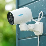 Reolink P330P, Telecamera di sorveglianza bianco/Nero