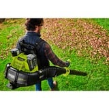 Ryobi RY36BPXB-0, Soffiatore verde/Nero