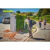 Ryobi RY36BPXB-0, Soffiatore verde/Nero