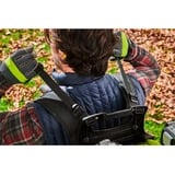 Ryobi RY36BPXB-0, Soffiatore verde/Nero