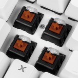 Sharkoon SKILLER SGK3 tastiera USB QWERTY Inglese, Spagnolo Bianco bianco, Full-size (100%), USB, Interruttore a chiave meccanica, QWERTY, LED RGB, Bianco