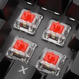 Sharkoon Sharkoon Skiller Mech SGK20 RED       BE Nero