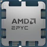 AMD EPYC™ 4345P, Processore Vassoio